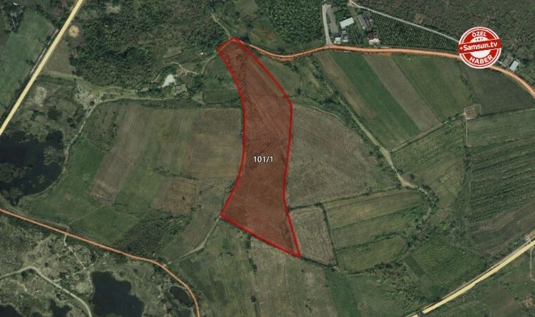 Çarşamba’da 72 Dönümlük Hazine Arazisi Özelleştirme Kapsamında