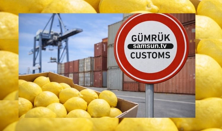 Limon İthalatının Önü Açıldı: Gümrük Vergisi %54’ten %10’a Düşürüldü